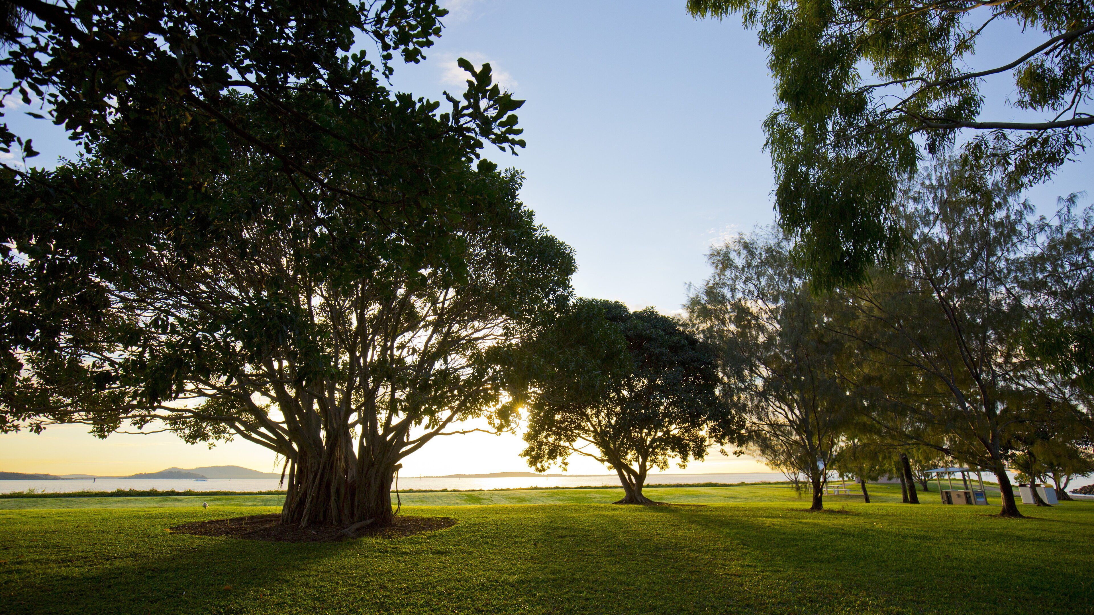 A park with large trees and a grassy field.