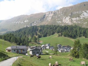 A rural village with houses and grazing cows, surrounded by mountains and forests. - Chalet Al Portic by Interhome (Olivone)
