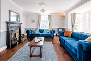 TV, fireplace, books