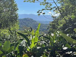 Property grounds - 2 BR and 1 Bath House with guesthouse - sleeps 8. Master bedroom has AC (Puntarenas Province)