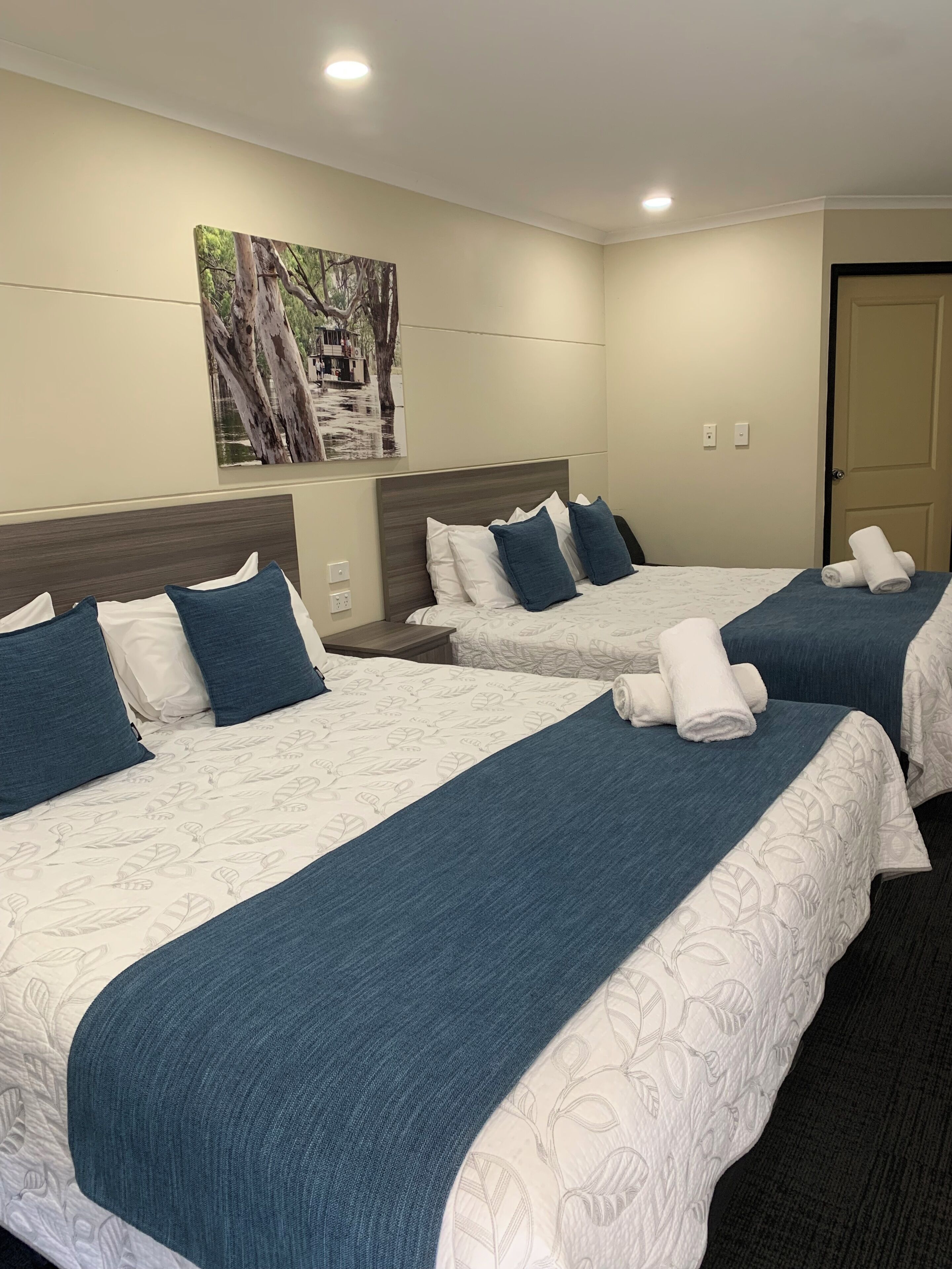 Twin Queen | Down duvets, pillow-top beds, desk, iron/ironing board