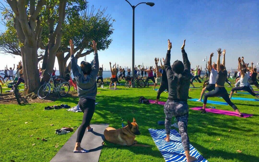 Un groupe de personnes pratiquant le yoga sur des tapis, dans un cadre extérieur, avec des arbres et un ciel dégagé.