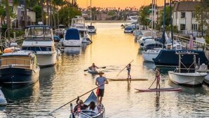 A marina with boats docked and people paddleboarding.