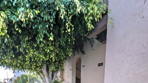 A building with a stone staircase leading to an entrance, a number '147' sign, and a tree providing shade.
