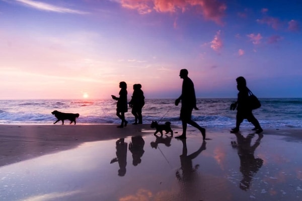 Strand