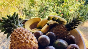 Eine Schüssel mit Früchten, darunter Ananas, Bananen und Pflaumen, auf einem Holztisch. Im Hintergrund Blick auf das Meer und viel Grün.