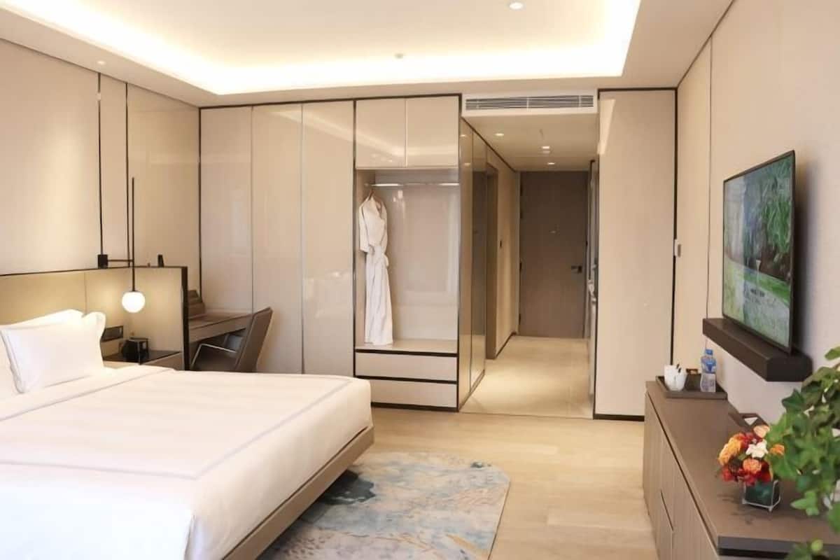 A modern hotel room with a large bed, a walk-in closet, a television, and a desk.