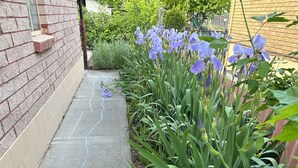 A concrete pathway bordered by a brick wall and a garden with purple flowers and red peonies. - Quiet Comfort- Adventures Start Here! (Idaho Falls)