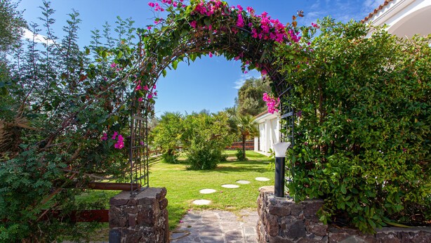 Un sendero de piedra que atraviesa un jardín con un arco de piedra, rodeado de abundante vegetación y plantas florecientes.