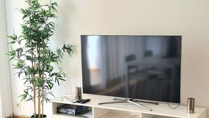 Un saló modern amb un televisor de pantalla plana sobre un moble blanc, una planta en test i un paviment de rajoles.