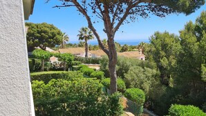 Vista d'una zona residencial amb un arbre gran, una casa amb teulada i un cos d'aigua al capvespre.