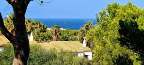 Exterior - Apartment 'Villa Orchidée - Coves Noves' with Sea View, Wi-Fi and Air Conditioning and terrace (COVES NOVES)