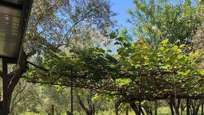 Unclassified image, 3 of 16, button - Rajana Bungalow 2(olive House) (Ulcinj)