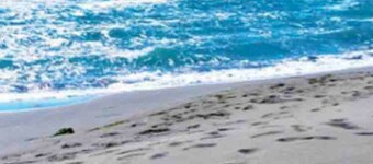 Rajana Bungalow 2(olive House)