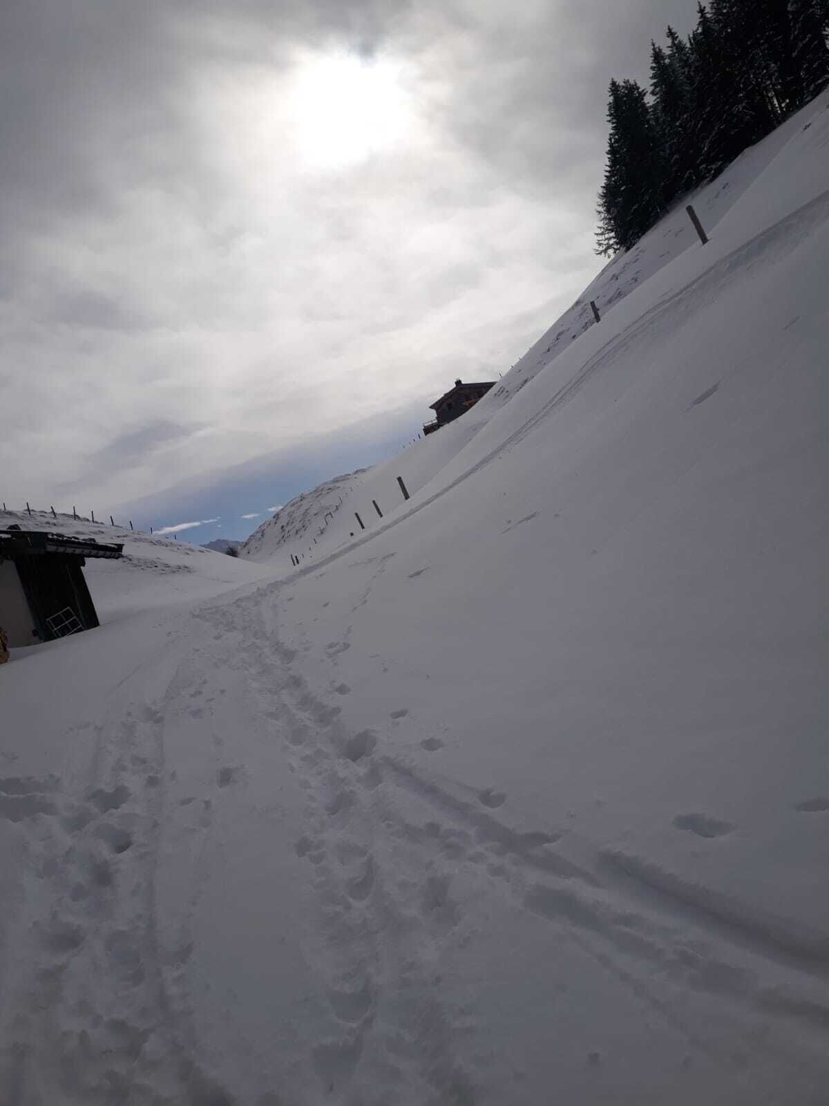 A snow-covered slope with a building at the bottom and a forested area in the background.