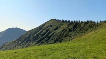 A grassy field with a hill in the background.