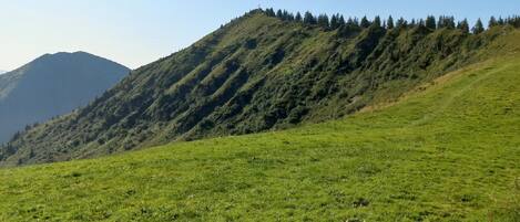 A grassy field with a hill in the background.