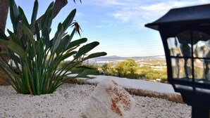 A rock surrounded by pebbles, a plant, and a view of a distant landscape with a mountain and buildings. - Koukounari Cottage Paros, Apartment With sea View (Paros)
