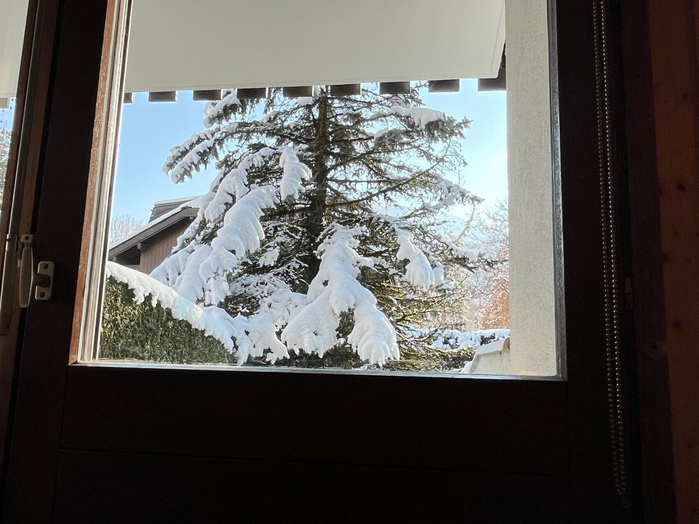 Ein Fenster mit Blick auf einen schneebedeckten Baum.