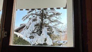 A window with a view of a snow-covered tree outside.