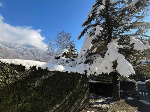 A snow-covered landscape with a prominent evergreen tree and a clear blue sky. - Charming ground floor studio with terrace, pets allowed, Samoëns (Samoëns)