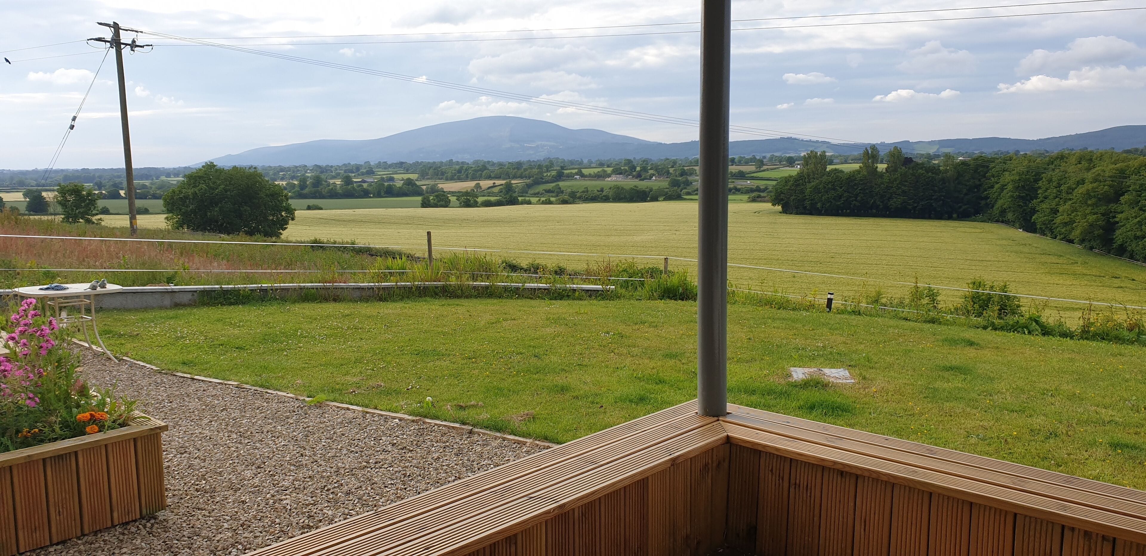 Slievenamon view