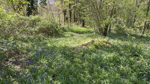 A forested area with a dirt path. - The perfect Couple's Retreat (Abjat-sur-Bandiat)