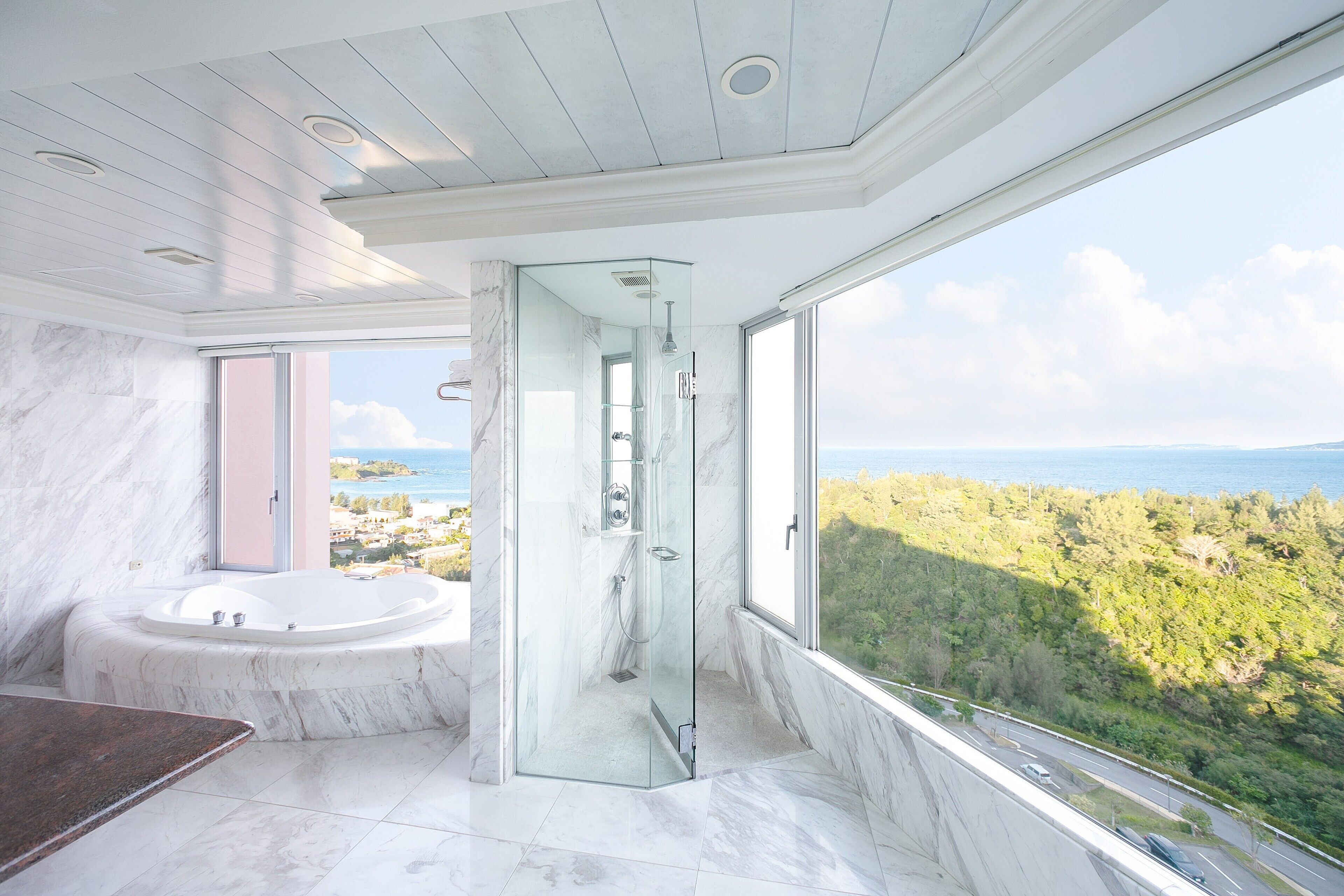 separate bathtub and shower, deep-soaking bathtub, rainfall showerhead