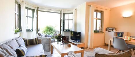 Televisión, chimenea, libros y estéreo