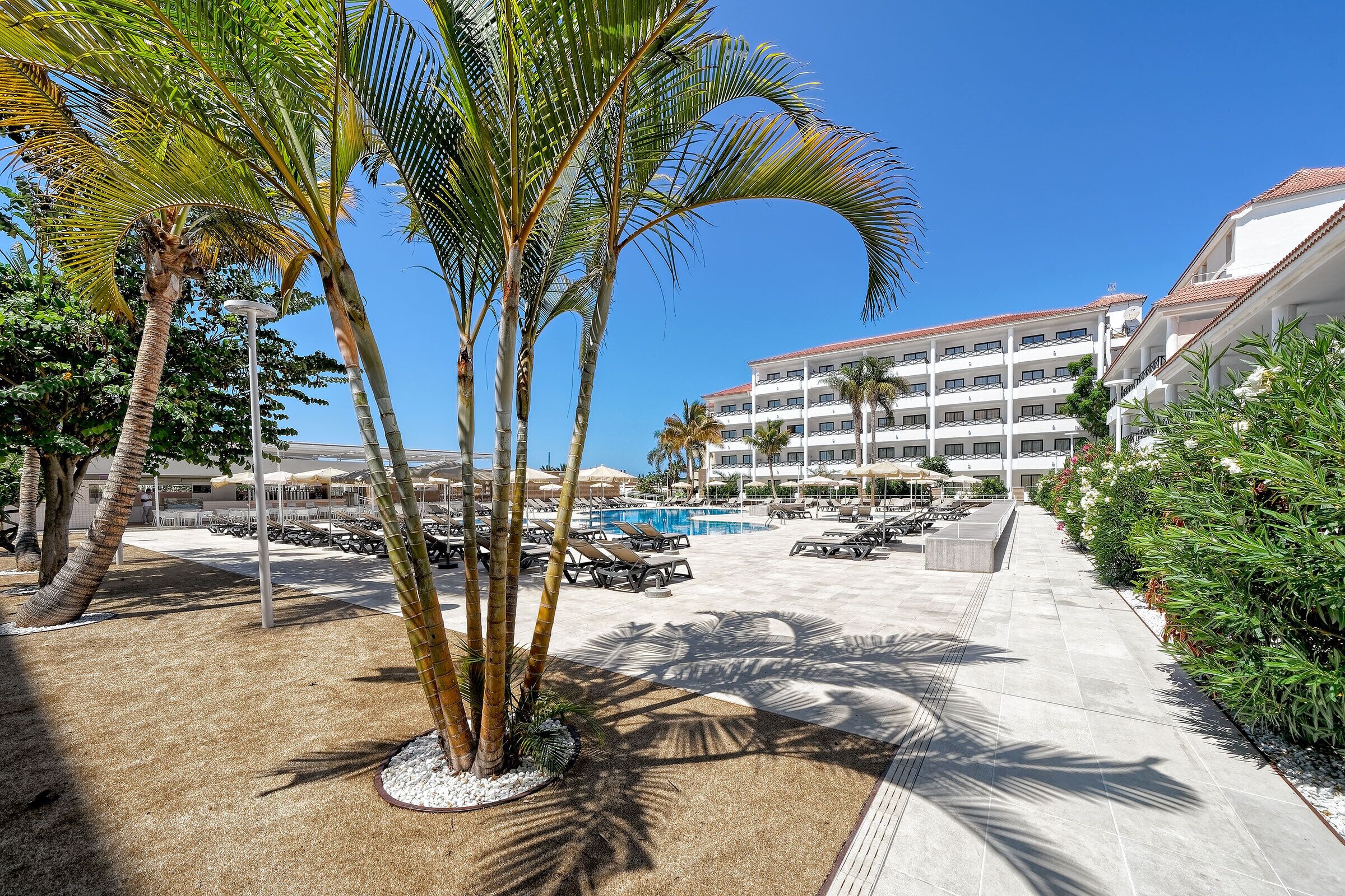 Zona de piscina en un resort, con palmeras, sillas de descanso y un edificio al fondo con varios balcones.