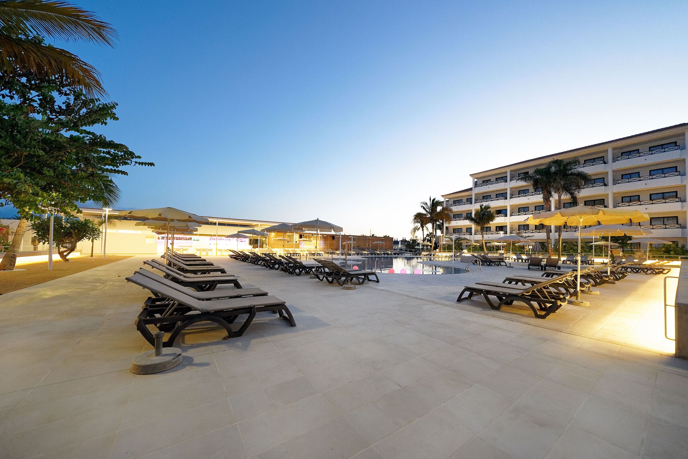 Un espace aménagé au bord de la piscine, avec des chaises longues et des parasols, un bâtiment doté de nombreux balcons et un palmier.