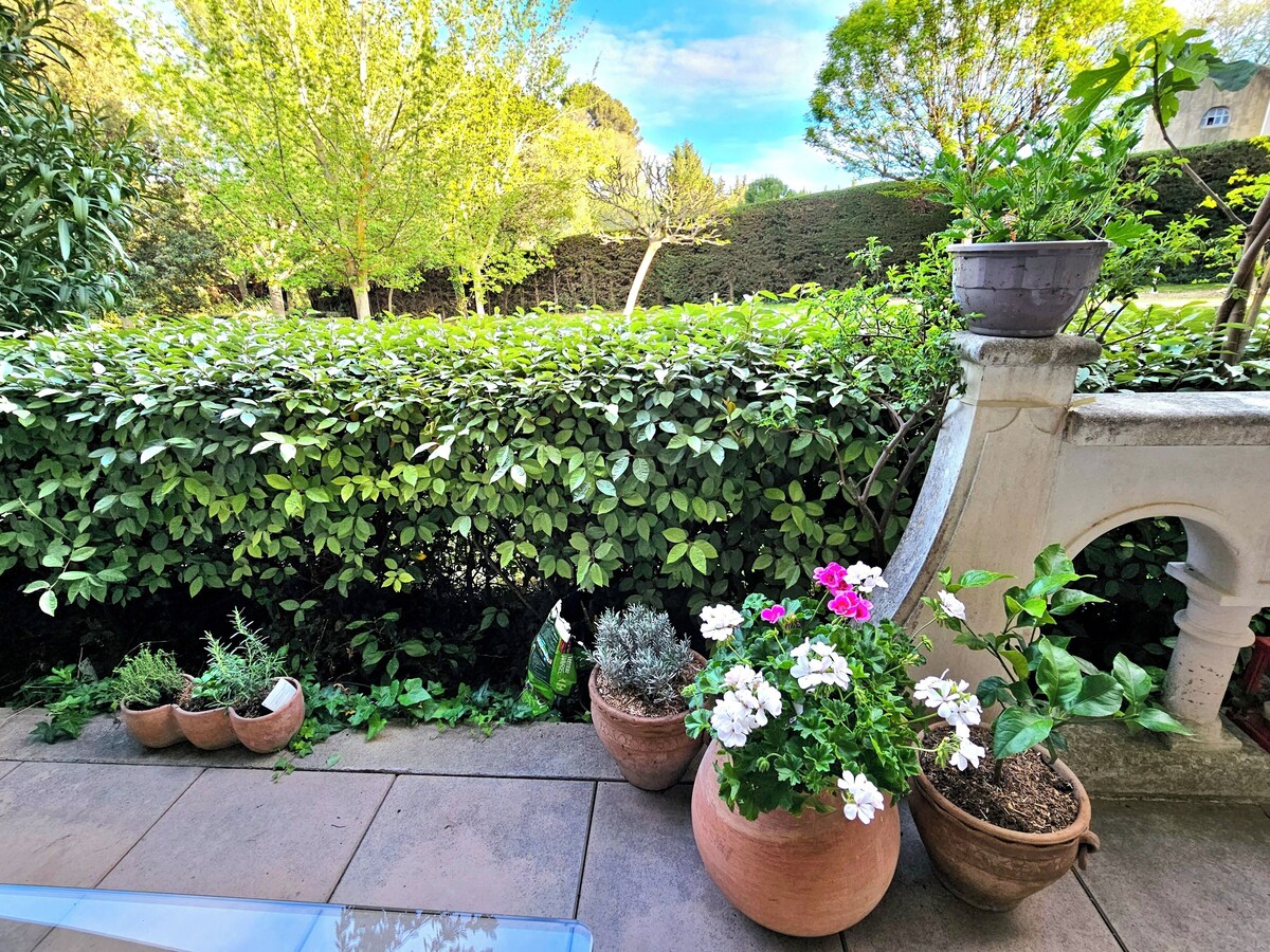 Imagen de perfil del propietario o de la propietaria