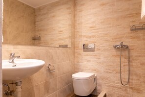 Ducha, secador de pelo, toallas, papel higiénico