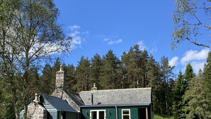 Una cabaña de dos pisos con chimenea de piedra, fachada verde y camino de entrada de grava.