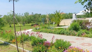 A garden with a paved walkway, various plants, and a swing set.
