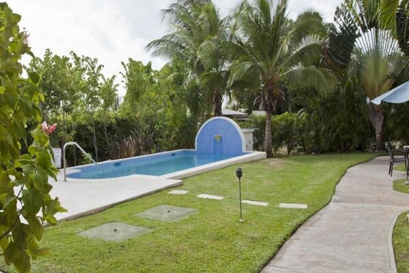 Una piscina rodeada de exuberante vegetación y palmeras.