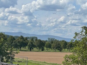 Imagen sin descripción, 2 de 9, botón