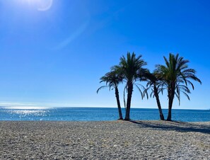A beach with pebbles and two palm trees. - Lovely 6 bedroom traditional Spanish House with stunning views and private heated pool (La Herradura)