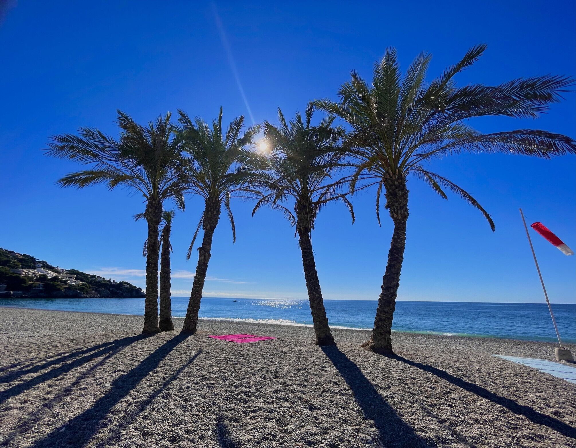 Une plage avec trois palmiers et un drapeau rouge sur la droite.