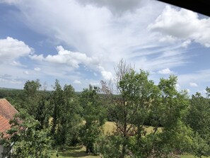 المنطقة المحيطة بالمنشأة