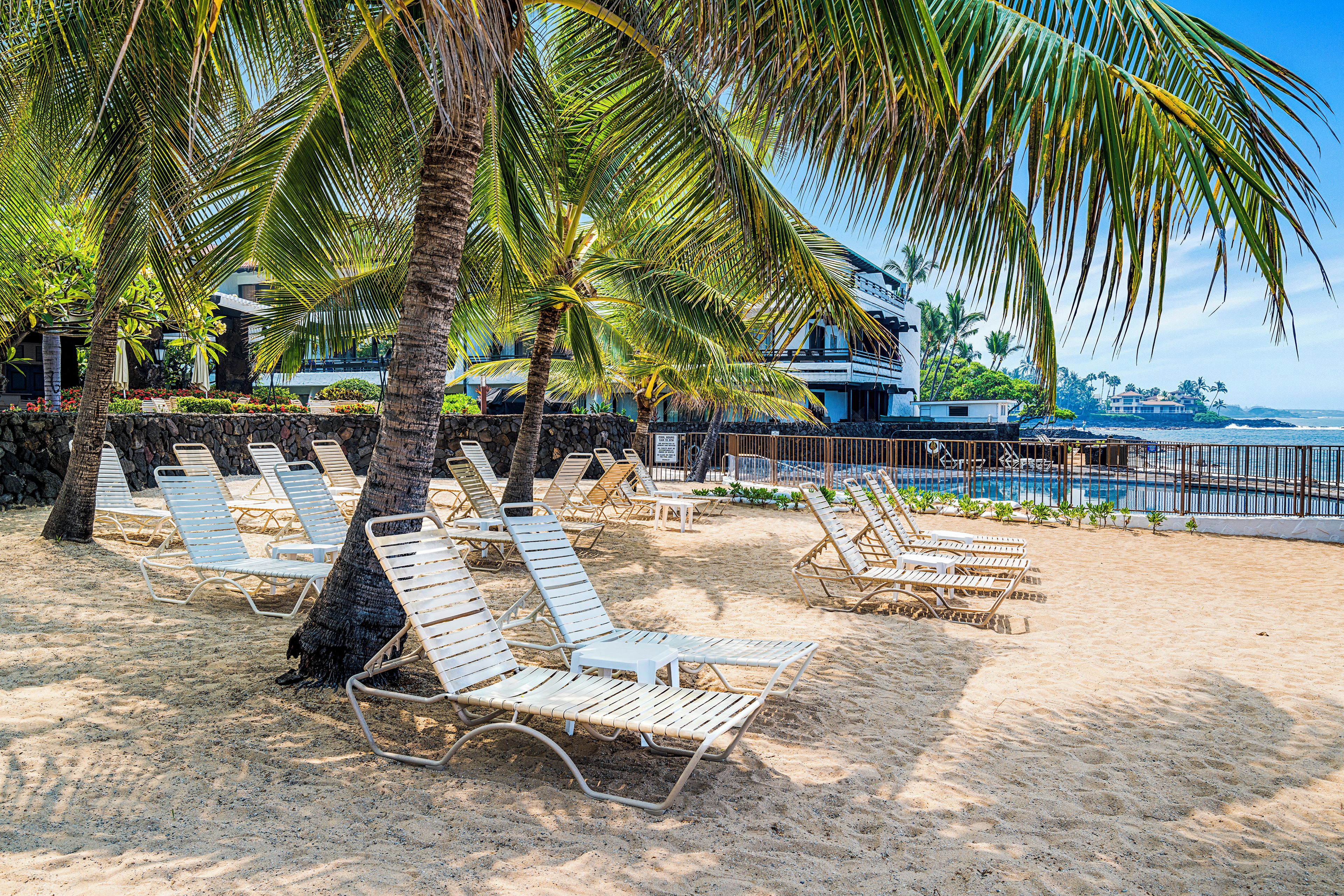 A beach with sun loungers, palm trees, and a pool.