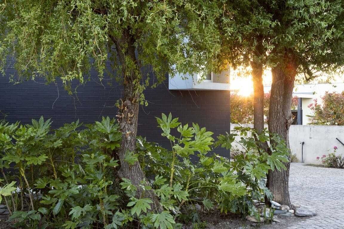 A garden with trees and plants in front of a building.