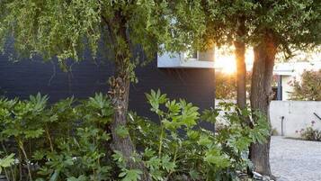 A garden with trees and plants in front of a building.
