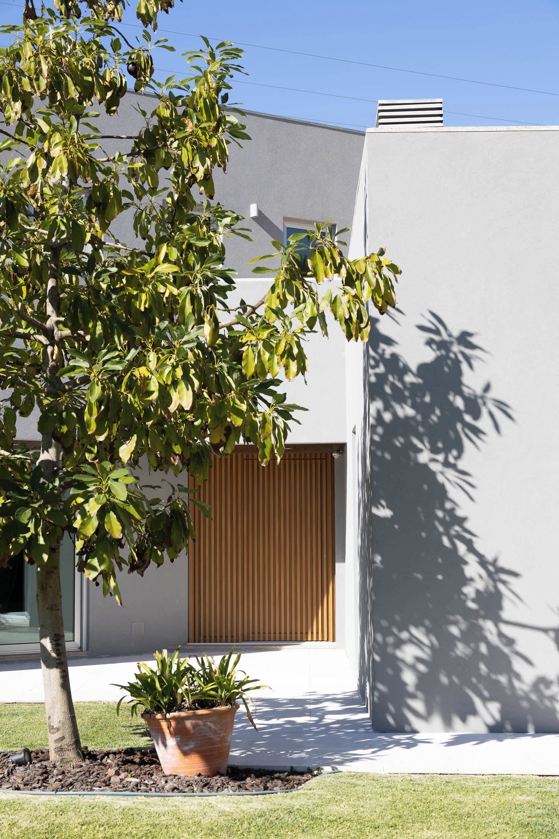 A modern building with a tree in the foreground and a potted plant in the foreground.