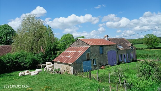 A rustic stone house with a metal roof, surrounded by a lush green landscape and grazing sheep.