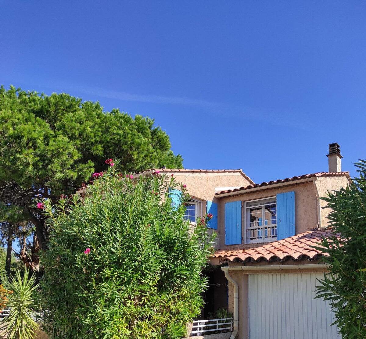 Imagen de perfil del propietario o de la propietaria