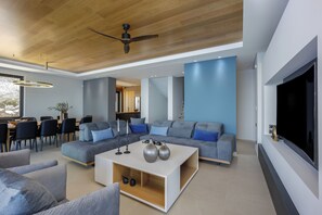 Smart TV, fireplace, DVD player, offices