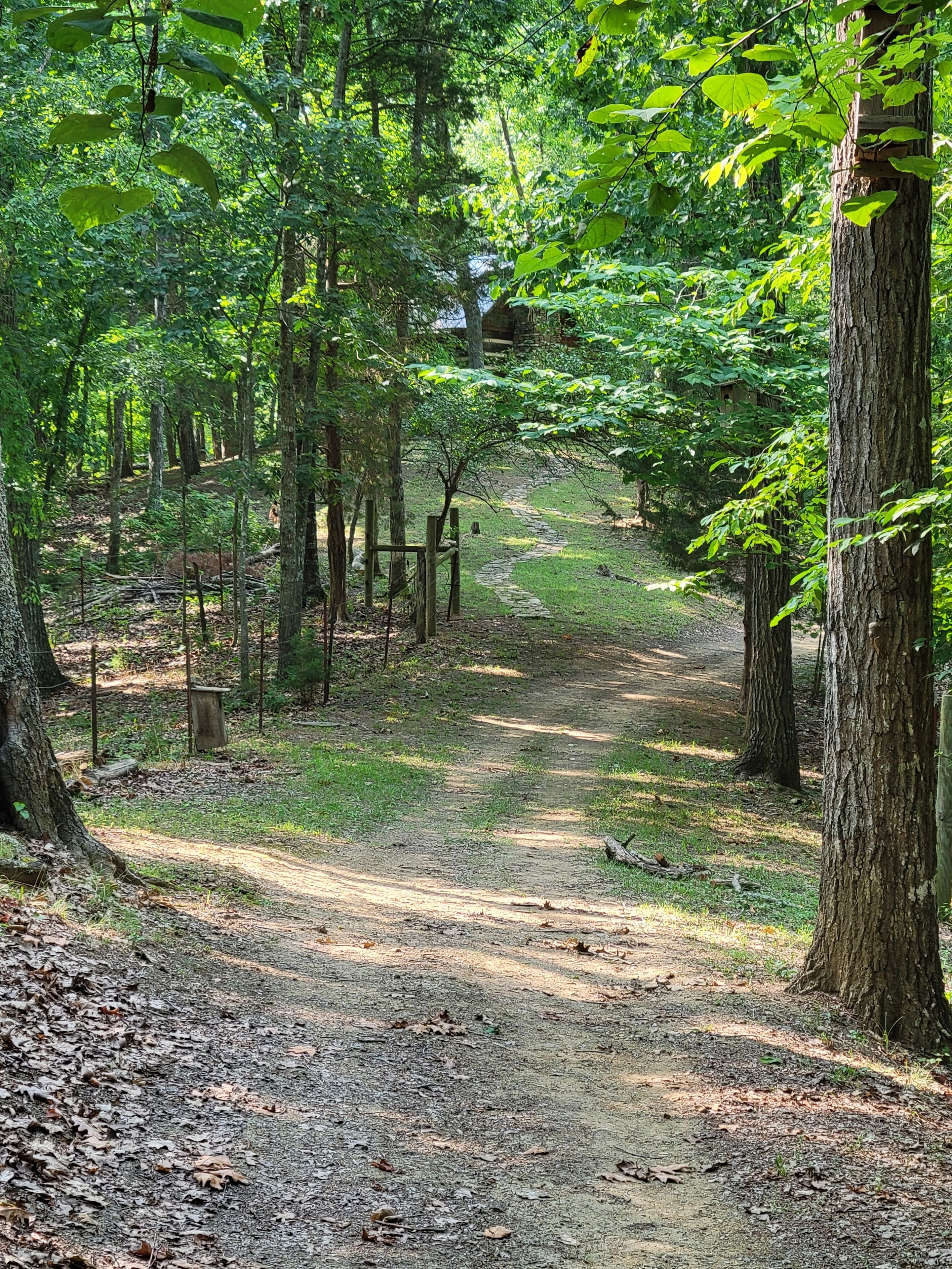 A forested path with trees and a wooden structure in the background.
