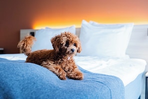Pet-friendly