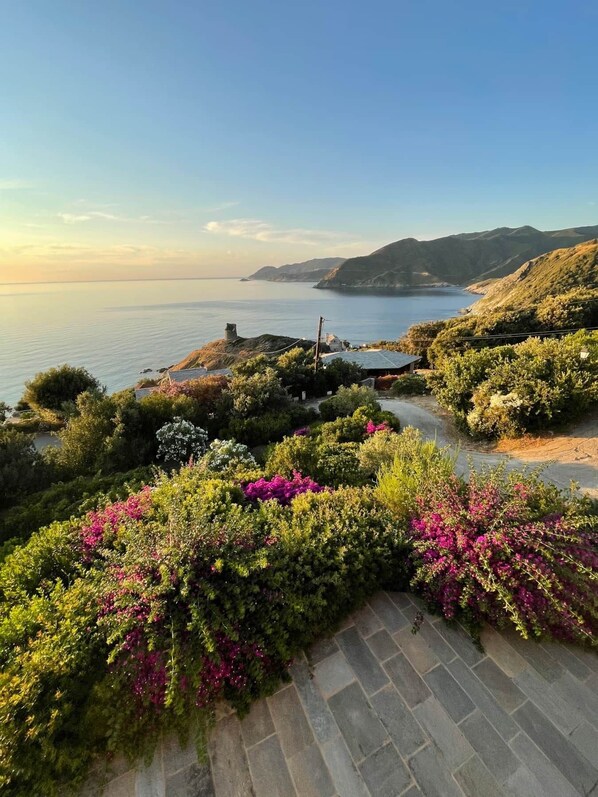 A coastal landscape with a paved path, lush greenery, and a view of the sea and distant hills.